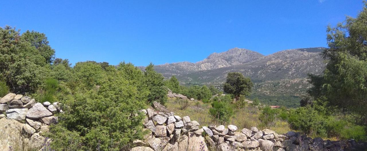 Acogedora casa rural en la sierra de Madrid Mataelpino Exterior foto